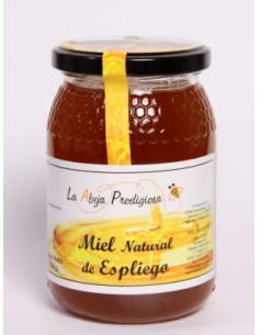 Miel Espliego 500 g