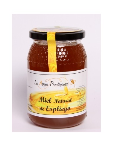 Miel Espliego 500 g