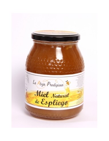 Miel de Espliego 1 kg