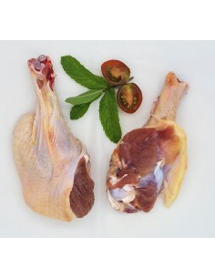 Manchon de pato fresco 2